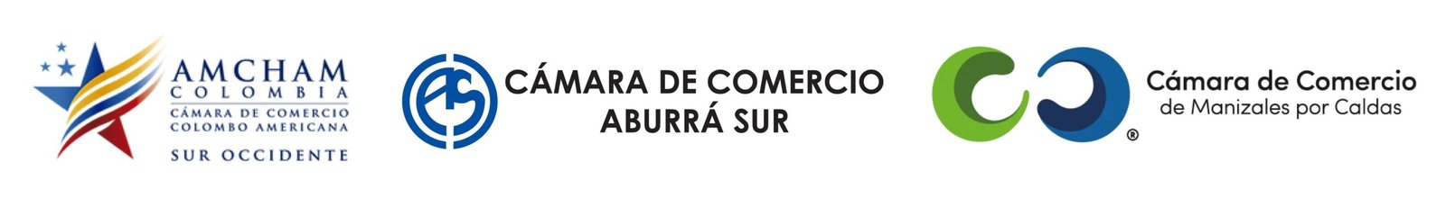 Aliados del VIII Simposio Internacional de Recursos Humanos